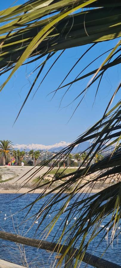 Villa Ange Azur 2 Villeneuve-Loubet Exteriör bild
